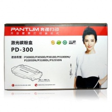 奔图（PANTUM） PD-300 打印硒鼓