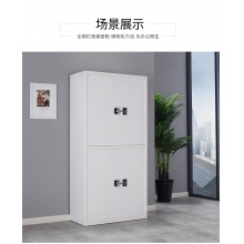 泰视保密柜电子密码锁指纹锁文件柜凭证财务柜保险柜储物柜矮柜铁皮柜 通双节密码款灰白套色