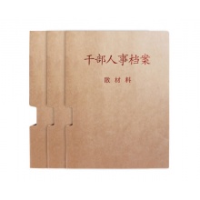 天泰办公 干部人事档案盒散材料履历表红字硬纸板档案盒人事档案分类纸/衬纸/包边纸 干部人事档案-散材料1张
