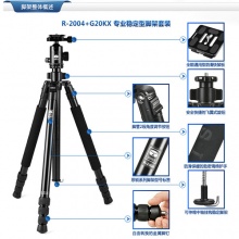 三脚架专业摄影 佳能1DX 5D3尼康D4S D800E单反相机支架