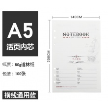 党员学习笔记本 本芯 A5