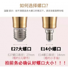雷士 烛型-02 LED烛型粗口灯