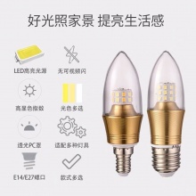 雷士 烛型-02 LED烛型粗口灯