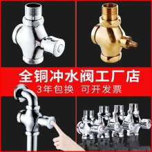华尔杰 一寸 厕所手按式冲水阀 