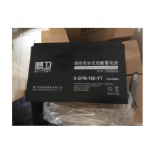 科华精卫 蓄电池 6-GFM-100-YT