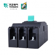 天正 电气 （TENGEN） TGM1N-400L/4300B 塑壳断路器  400A /个