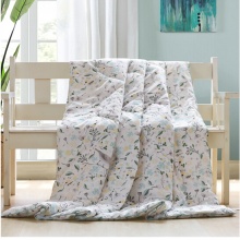 喜芙妮（SOFTNIE）家纺床上用品 格力空调被 180*210cm
