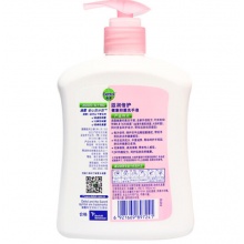 滴露Dettol 健康抑菌洗手液 滋润倍护 500g/瓶 易冲洗