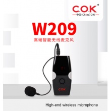 COK W209无线耳挂胸麦户外直播声拉杆箱舞台会议教学麦克风