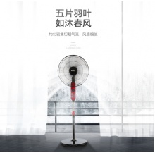 格力（GREE） FD-4010-WG 五叶风扇/家用静音落地扇/立式电扇/电风扇