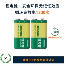 德力普（Delipow） 9V充电电池 9V锂电池充电套装 550mAh大容量6F22万用表麦克风 2槽充电器+4节电池