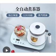 多功能玻璃电煮茶壶