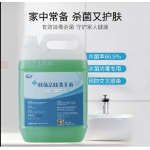 抑菌亲肤洗手液 5L