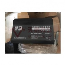 科华 蓄电池 6-GFM-100-YT