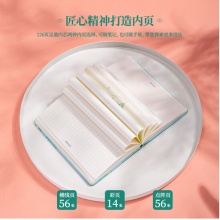 得力(deli)25K126张颐和园系列皮面本 创意古风日记本记事本笔记本子文具 春风正得颐款22233