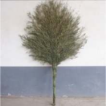 国产 竹扫帚 1700mm*750mm