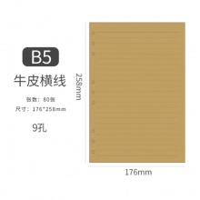 华蒿 B5 9孔内芯纸 牛皮纸 空白