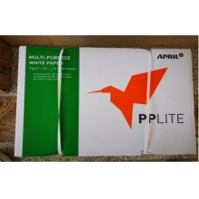 亚太 pplite 打印复印纸飞鸟a3双面白纸70g  5包/箱