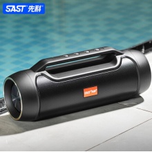 先科（SAST） V8蓝牙音箱 24W大功率大音量无线便携播放器电脑户外低音炮高音质音响
