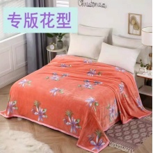 雅诗特 毛毯双人珊瑚云貂绒盖毯午休空调被子毛巾被 1.5*2米