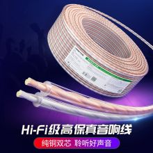 绿联（UGREEN）纯铜100芯HIFI音频线材 100米 AV137