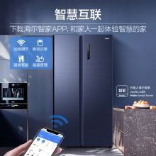 海尔（Haier） 600升变频风冷无霜全空间保鲜对开门电家用冰箱 BCD-600WGHSS19B8U1