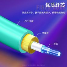 山泽(SAMZHE)光纤跳线 万兆LC-LC多模双芯OM3 低烟无卤环保光纤线 收发器尾纤 3米G3-LCLC03
