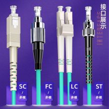 山泽(SAMZHE)光纤跳线 万兆LC-LC多模双芯OM3 低烟无卤环保光纤线 收发器尾纤 3米G3-LCLC03