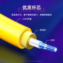 山泽(SAMZHE)低烟无卤环保光纤线 电信级SC-SC单模单芯 收发器尾纤 10米G0-SCSC10