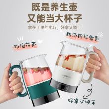 金灶 HT-005 迷你养生壶多功能玻璃烧水壶全自动煮茶器 绿色