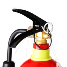 洪湖 灭火器 二氧化碳灭火器3公斤 CO2手提式气体二氧化碳灭火器5KG 机房精密仪器灭火器MT/3