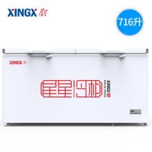 星星（XINGX） 716升 商用单温大冷柜 卧式双门顶开门 BD/BC-716E