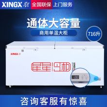 星星（XINGX） 716升 商用单温大冷柜 卧式双门顶开门 BD/BC-716E