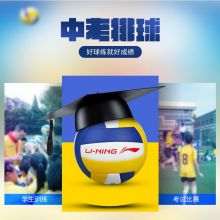 LI-NING李宁 排球 5号LVQK001-1（柔软 不伤手）