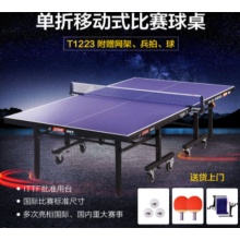 红双喜 乒乓球台 DXBC006-1(T1223)