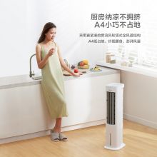美的（Midea）家用冷风扇水冷塔扇节能遥控制冷空调扇水冷 AAD10AR