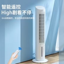 格力（GREE） 冷风扇家用卧室客厅办公室负离子小空调扇 4L水箱 KS-04S63Dg(白)