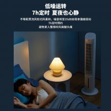 格力（GREE） 冷风扇家用卧室客厅办公室负离子小空调扇 4L水箱 KS-04S63Dg(白)