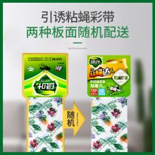 绿叶 粘蝇彩带 30条装JD3001