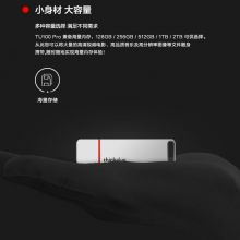 联想(thinkplus)USB3.1 高速传输U盘  大容量电脑优盘 TU100 Pro银色 2TB