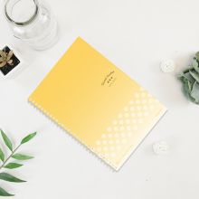 国誉(KOKUYO)淡彩曲奇双螺旋装订本 A5/80页 8mm横线*21行 2本/包 黄WSG-SNCA580Y