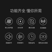 得胜 （TAKSTAR） DA10 话筒音响一体麦克风 手持上课无线话筒公司蓝牙K歌喇叭扩音器