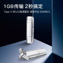 爱国者（aigo）256GB USB3.1Type-C双U口 高速固态U盘 U393 读520MB/s 写420MB/s