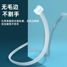 山泽(SAMZHE)自锁式尼龙扎带3.6*200mm透明理线绑带 100根/包ZD-14