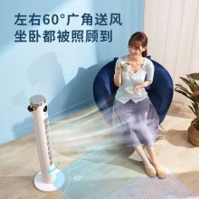 飞利浦（PHILIPS）无叶落地立式空气循环智能塔扇 遥控电风扇节能低噪电扇ACR2244TF