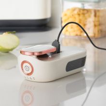 摩飞（MORPHY RICHARDS）冰箱除味器无耗材MR2060
