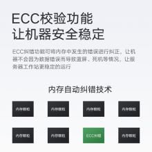 戴尔（DELL）服务器ECC内存条 32GB DDR4 2933 RECC