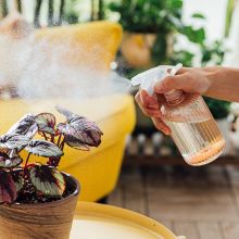 漫生活 MSH-1085 600ml喷壶 水柱/雾状可喷 小喷壶75%酒精消毒喷水壶