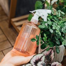漫生活 MSH-1085 600ml喷壶 水柱/雾状可喷 小喷壶75%酒精消毒喷水壶