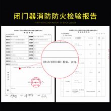 飞球( Fly.Globe) 闭门器液压缓冲可调节 适合门重15-25KG FQ-2000
